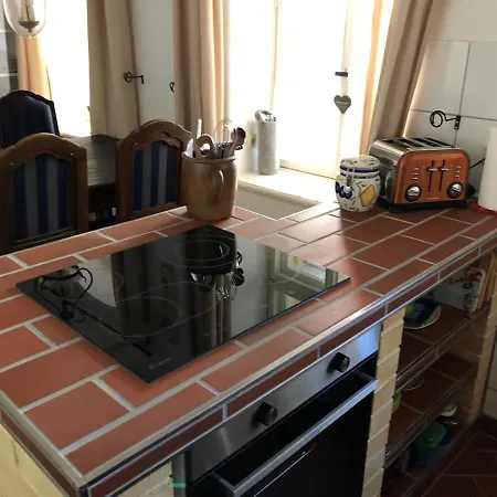 Gans Auguste ドーナ